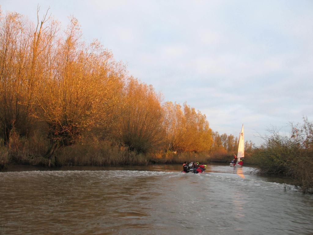 Bed And Breakfast De Biesbosch - In 'T Riet Drimmelen Eksteriør bilde