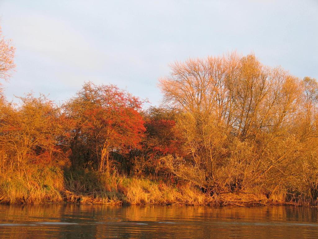 Bed And Breakfast De Biesbosch - In 'T Riet Drimmelen Eksteriør bilde